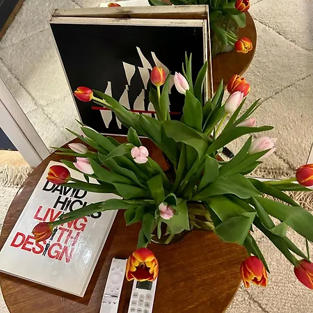 Leonetto Art Domus - Di Design Nel Cuore Di - Navona - Pantheon Apartment *